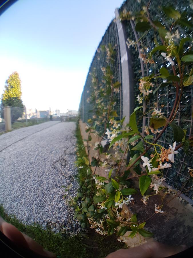 Villa Evillia Lucca Kültér fotó